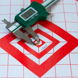 45-70 CAL 300 GR HP/FN PRO-HUNTER