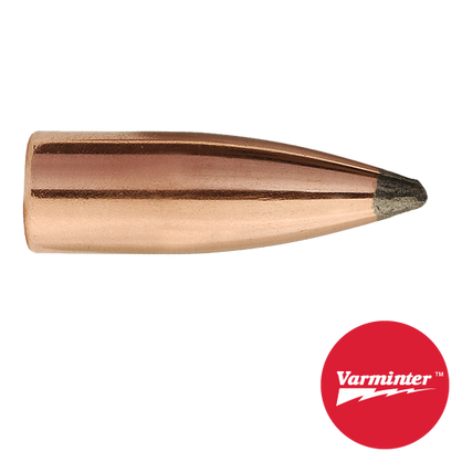 22 CAL 55 GR Varminter