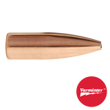 22 CAL 60 GR HP Varminter