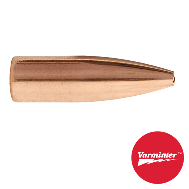 22 CAL 60 GR HP Varminter