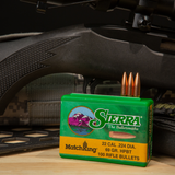 22 CAL 69 GR HPBT MatchKing (SMK)