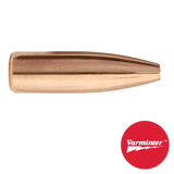 6.5MM 100 GR HP Varminter