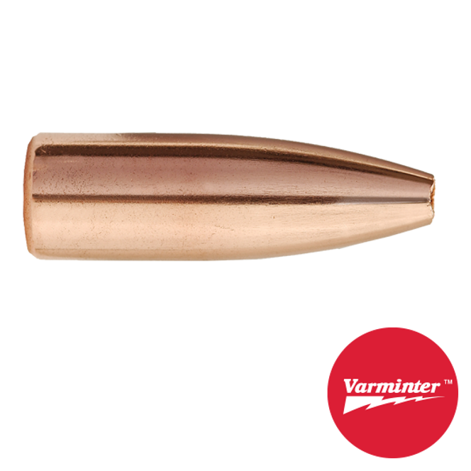 7MM 100 GR HP Varminter