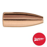 30 CAL 110 GR HP VARMINTER