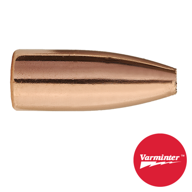 30 CAL 110 GR HP VARMINTER