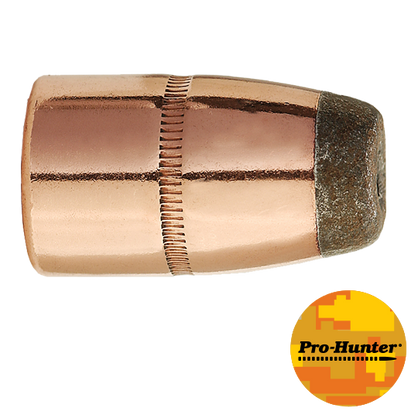 45-70 CAL 400 GR HP/FN PRO-HUNTER